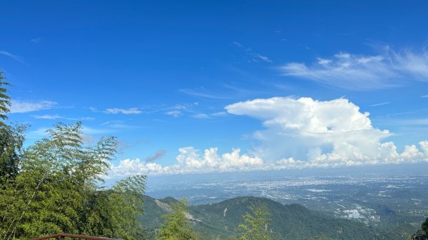 隙頂二延平步道2798966