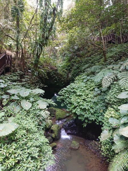 猿山、獅頭山O走1658151