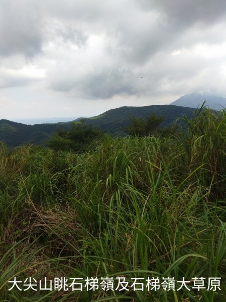 瑞泉古道上大尖山、下富士坪第三草原1760110