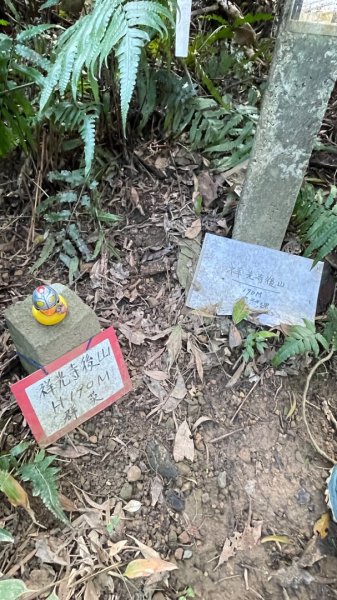 銀河洞越嶺貓空-新高麗坑山-銀獅縱走-猴山岳群峰+三條魚縱走2998276