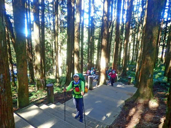 再訪眠月線 2019/11/23-24753028