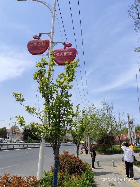 中國山東棲霞亞東老菜館、牟氏莊園、泰安市老泰安餐廳、泰安富力萬達嘉華酒店2779961