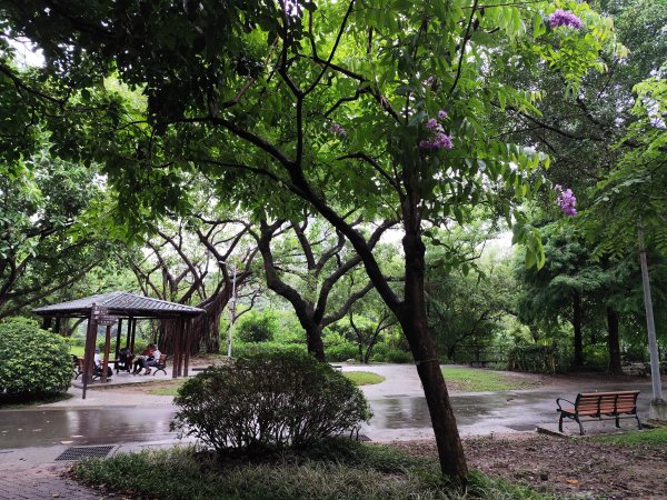 大安森林公園、西門町、象山公園【2025臺北健走趣】2834200