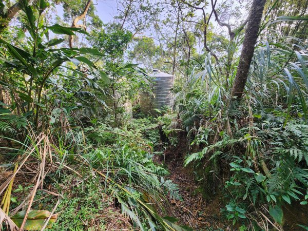 20241215富浪波山鹹菜棚街與打牛崎步道2691615