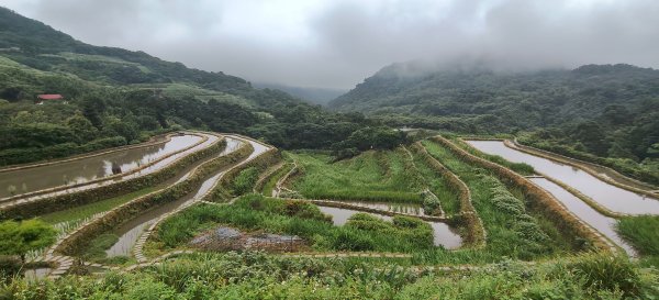 百年嵩山梯田&阡陌步道封面
