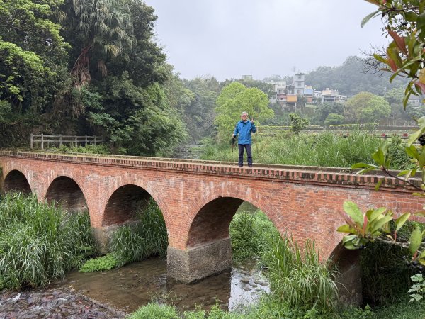 [樟之細路_第一大段RSA01] 2026_0329 大平紅橋3026638