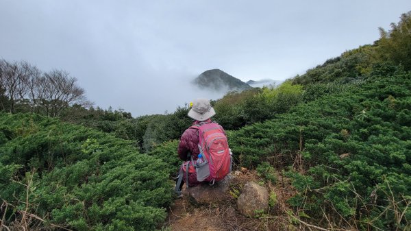 賞花+爬山健行-202402242436977
