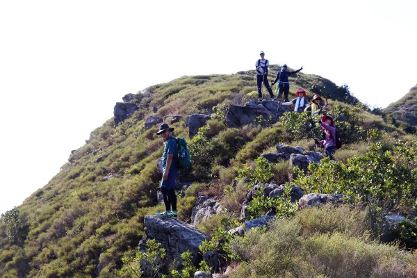 HK - 白燕岩1661229