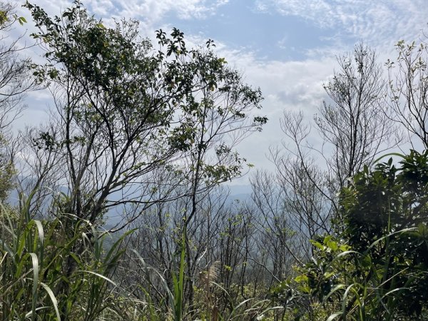 小格頭越嶺坪林2738369