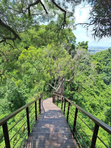 田中麒麟山森林步道202508172862030