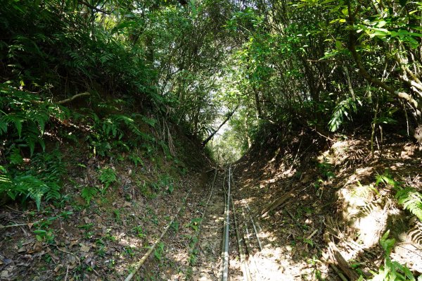 宜蘭 頭城 石空古道、太和山、石空山2398489