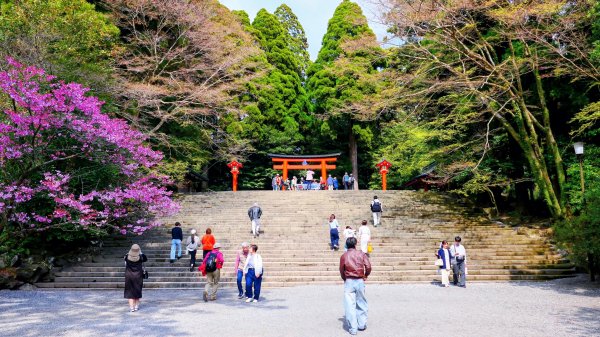 鹿兒島霧島神宮,神水峽3028241