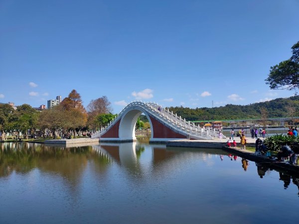 內湖o形4連峰（白鷺鷥山+鯉魚山東峰+鯉魚山+忠勇山）（2/13）2429601