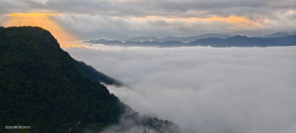 #翡翠水庫壩頂 #日出 #雲海 #斜射光 8/303113253