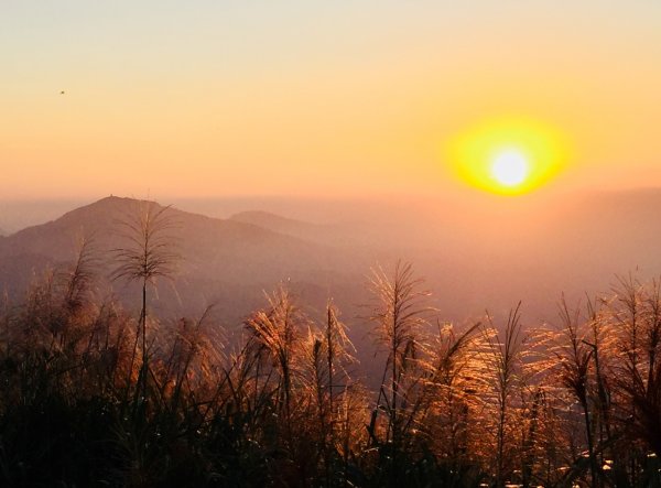 秋陽、金芒、基隆山464488
