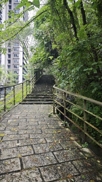 2025-0512內湖到中社2784797