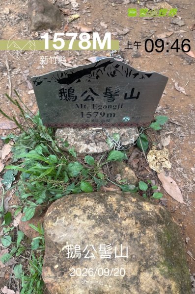 鵝公髻山/十八尖山/紅淡山/大尖山3120524