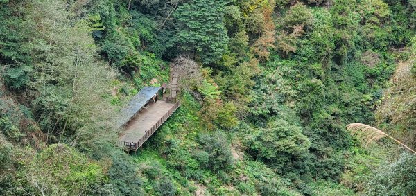 2023-01-01杉林溪青龍蕨類步道(青龍瀑布)、松瀧岩瀑布及天地眼步道1978853
