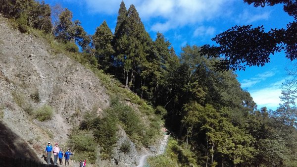 高聳雲天的檜山巨木群步道718777