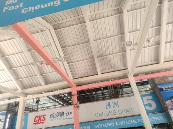 香港長洲鳥2504625