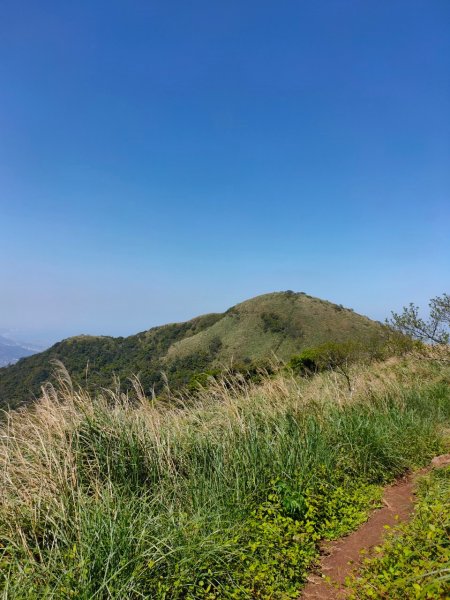 大屯山泥巴滑溜溜914389