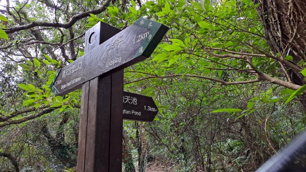 台北大縱走第一段1249196