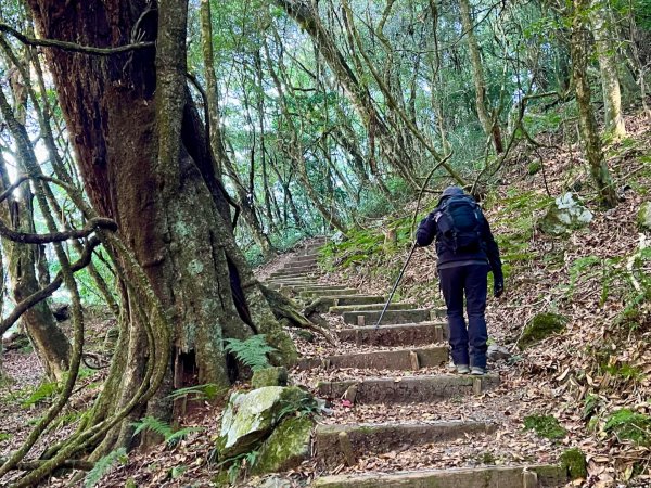 船型山環走大雪山210林道2978021