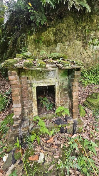 20250902大湖山東南峰-康樂山北峰-明舉山東峰-安湖公園-火炭坑山(騎車爬山)2878440