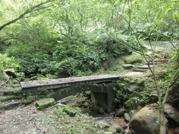 平湖森林步道．內平林山109395