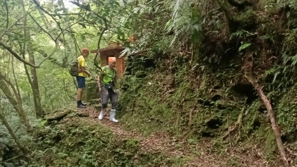 雙溪區烏山古道西線-大湖尾古道支線-大湖尾古道O型3098459