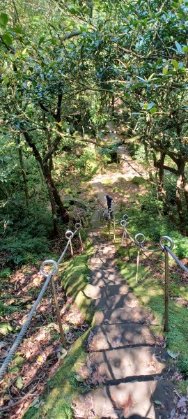 【新北平溪】平溪小三尖。 孝子山、慈母峰、普陀山、慈恩嶺O繞2801690