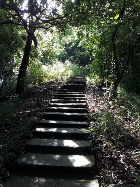 彰化員林臥龍坡環藤山步道20190714629492