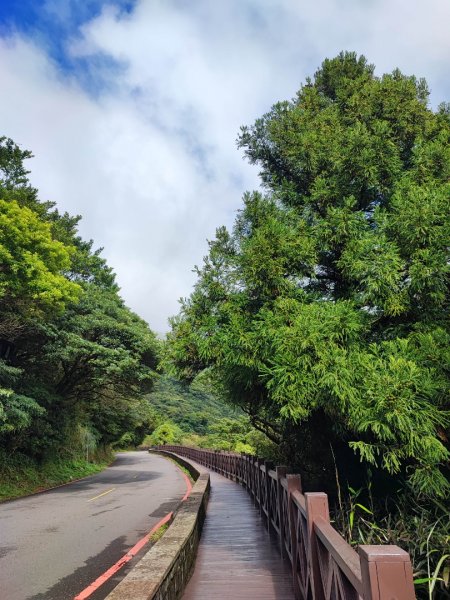 百拉卡公路人車分道 - 走遍陽明山尋寶任務2298062