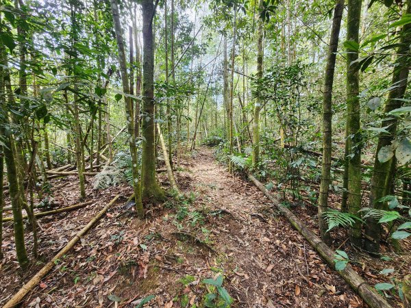 20260220板子寮山舊武界越山橫屏山O型3011652