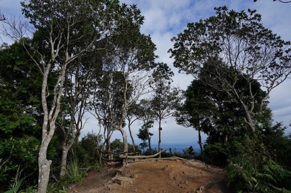 新竹 尖石 高台山、島田山2327048