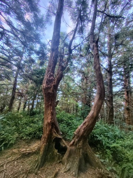 長壽山、肥崠山、醜崠山、大崠山、大崠山經建版2931523