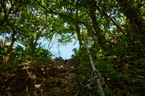 基隆山東峰(雷霆鋒)-基隆山O型(山尖路登山口)1693167