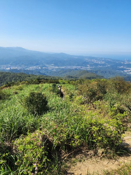 20250322-姜子寮山2740003