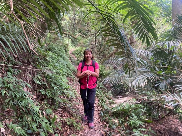 苗栗縣獅潭鄉鳴凰古道O型縱走2803667