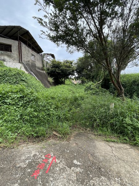 2025/7/26鐵砧山2845975