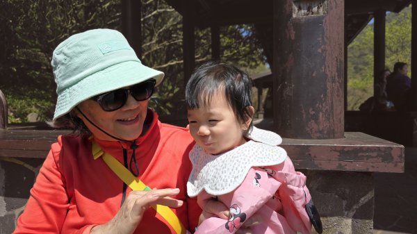 2025竹子湖海芋季美不勝收，最受歡迎的國家公園陽明山國家公園，親子皆宜，適合各式玩家2747612