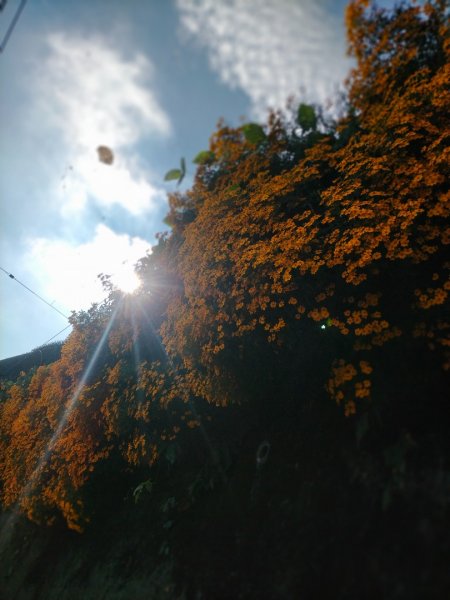 雲嘉連峰2365756