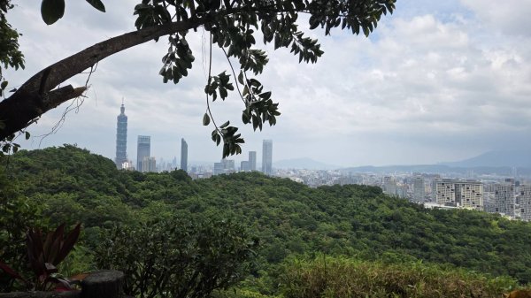 20260808 虎山親山步道3099956