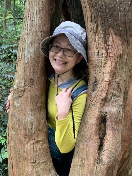 20250614南投南鳳凰山2813253