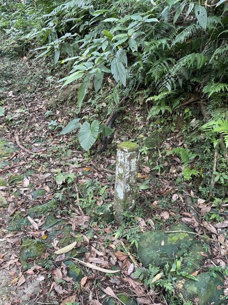 【二格山系】皇帝殿稜線2914118