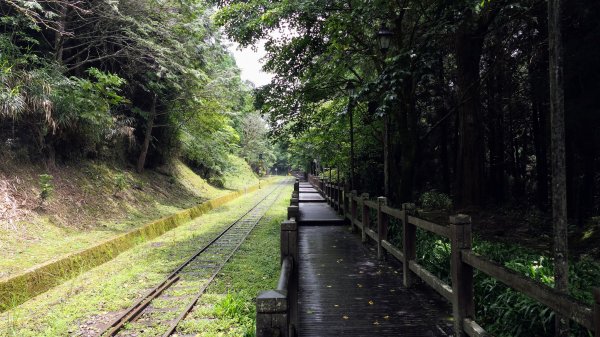 阿里山森遊區-祝山,對高岳步道2537068