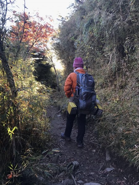 雪山 不下雪532985