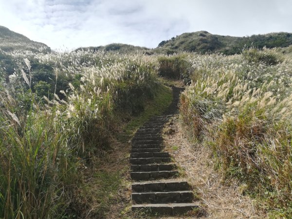 迷霧冷水坑·秋芒大爆發1160092