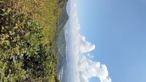 觀音山牛港稜登山步道、林梢步道連走2297267