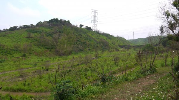 竹坑南寮步道登山健行趣(步道)1561530